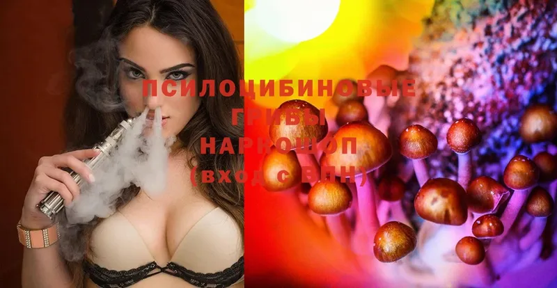 Псилоцибиновые грибы Psilocybe Оса